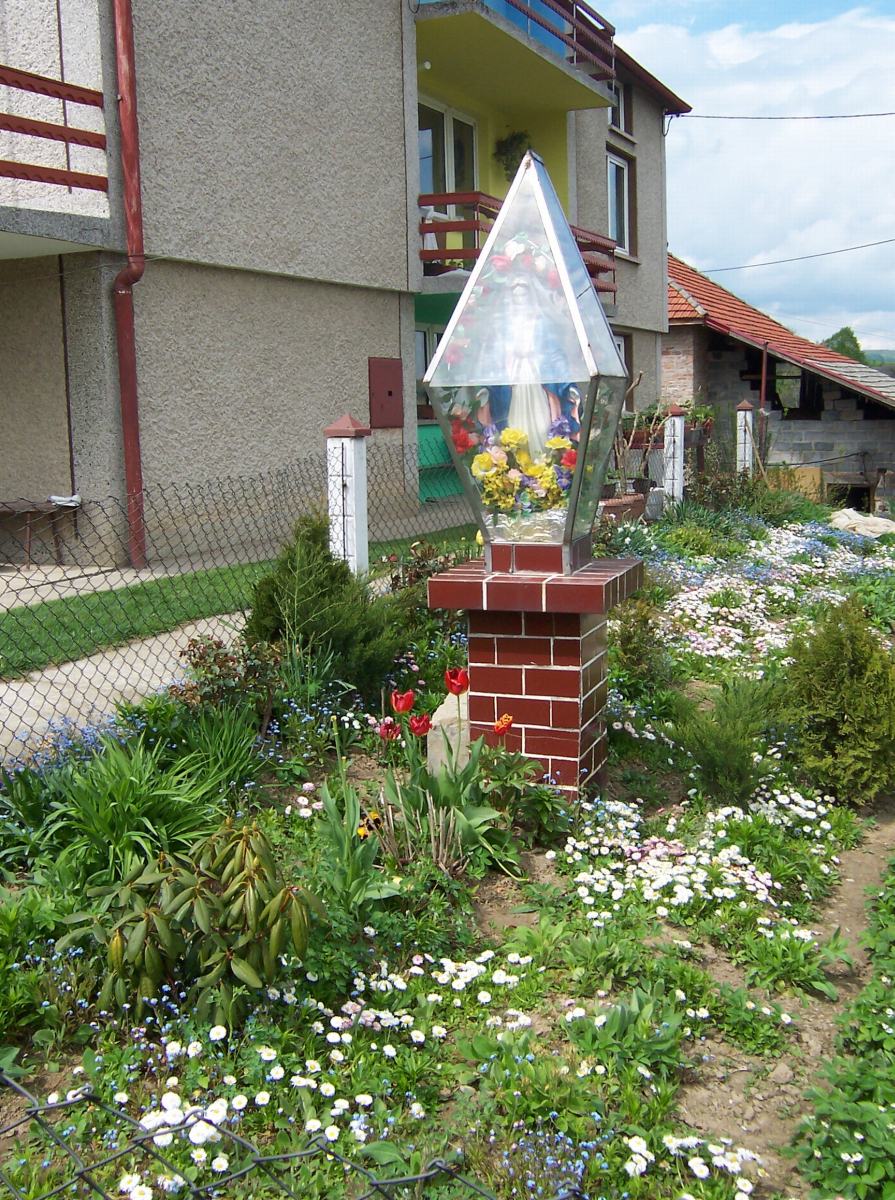 nr6_max