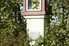 nr11_max