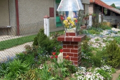 nr6_max