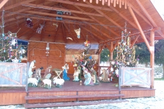 DSC00293