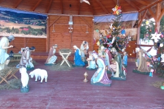 DSC00296