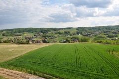 DSC_2094