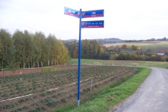 100_5475