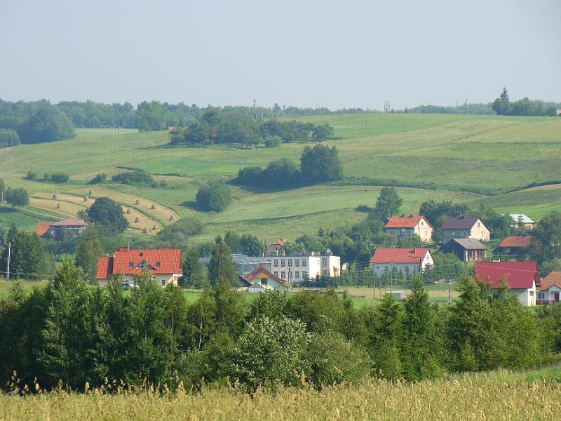 DSC03476