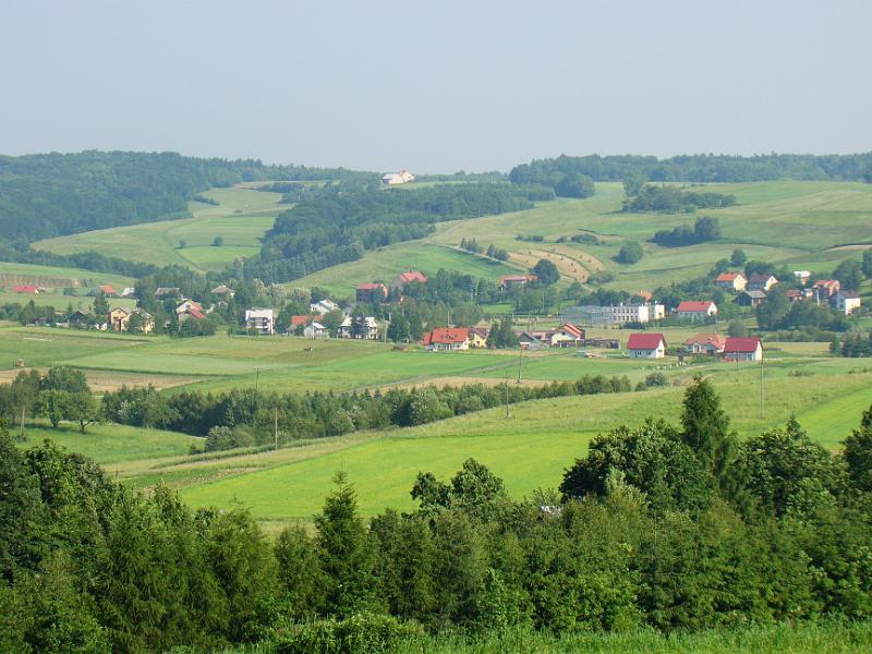DSC03480