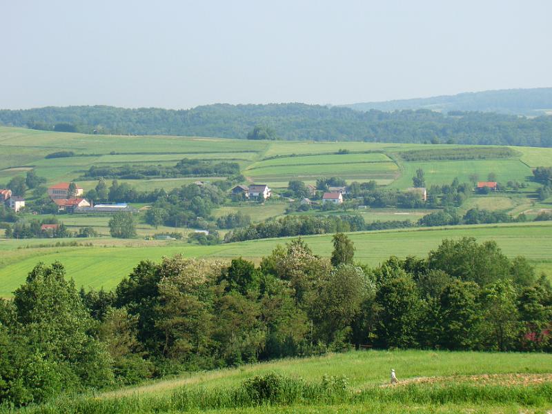 DSC03481