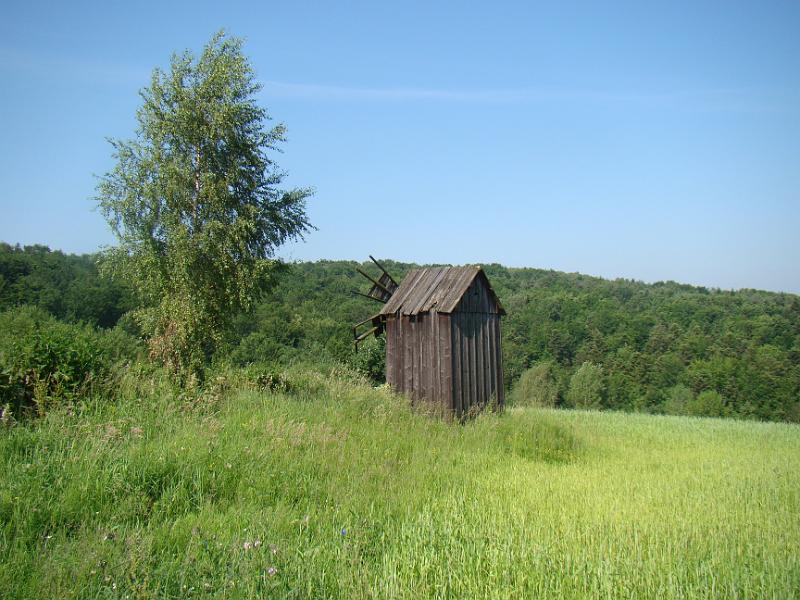 DSC03483