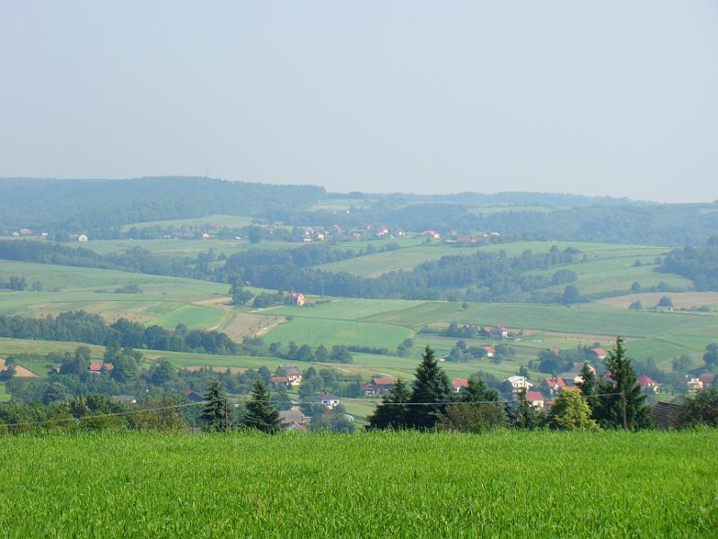 DSC03491