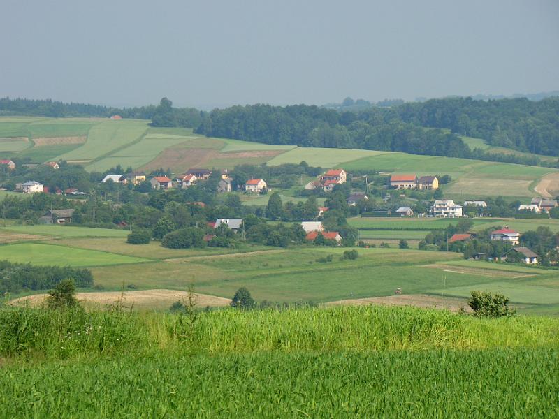 DSC03492