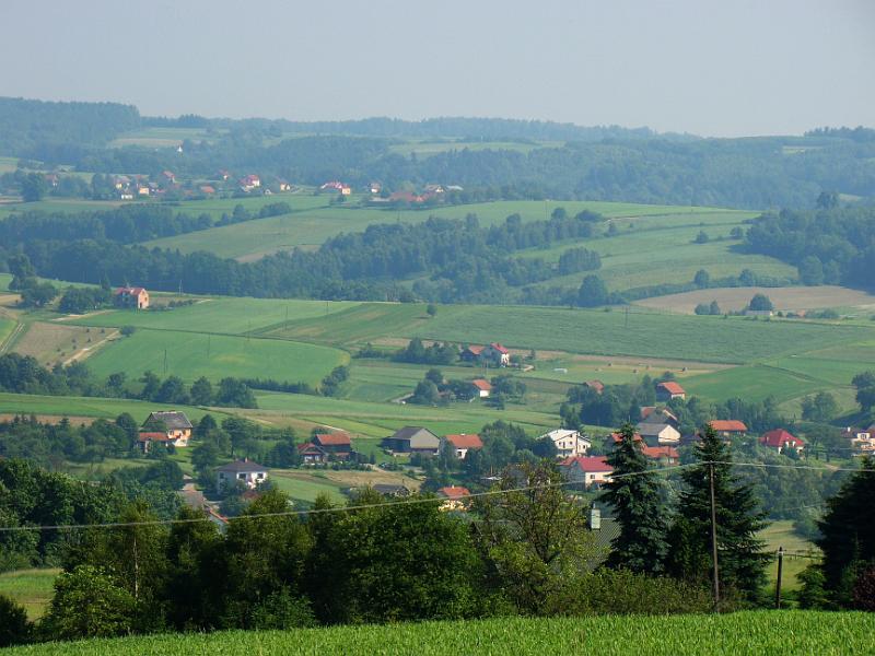 DSC03498