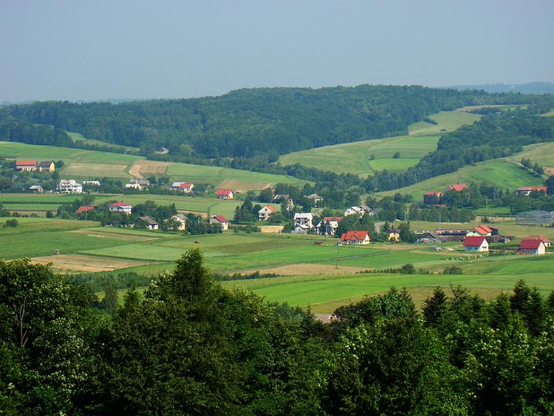 DSC03502