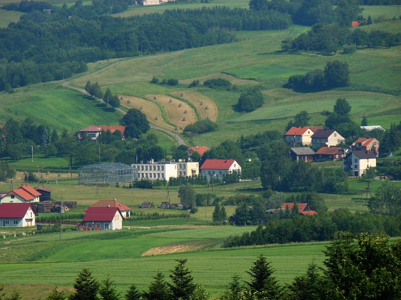 DSC03503