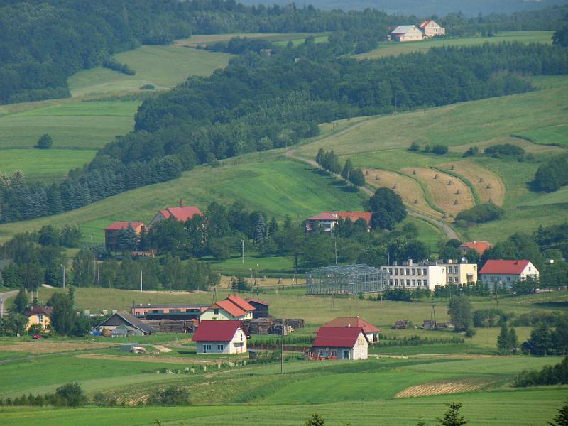 DSC03504