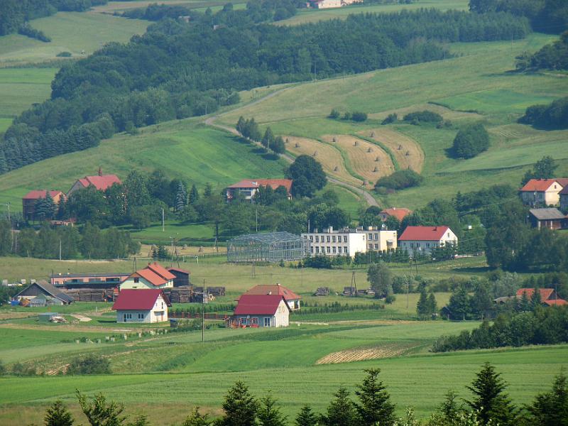 DSC03505