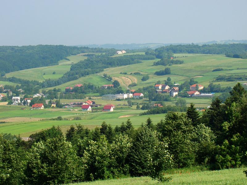 DSC03507