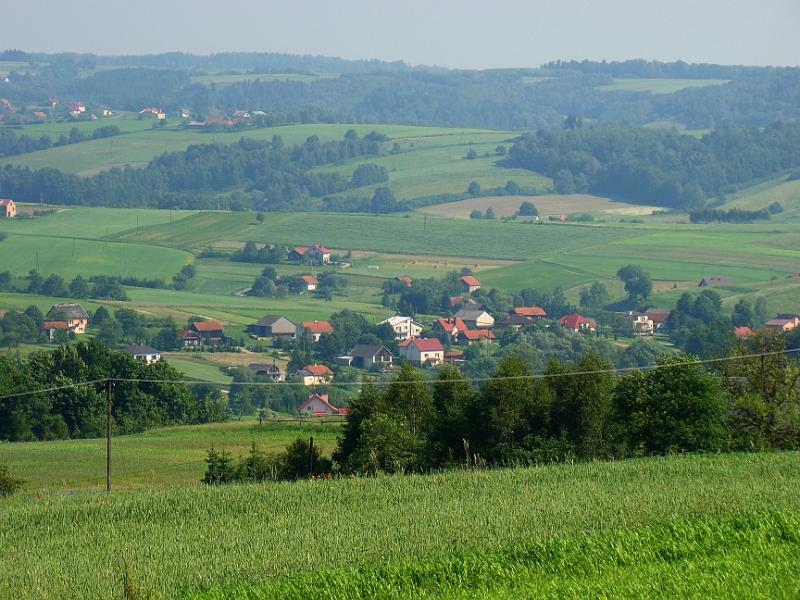 DSC03509