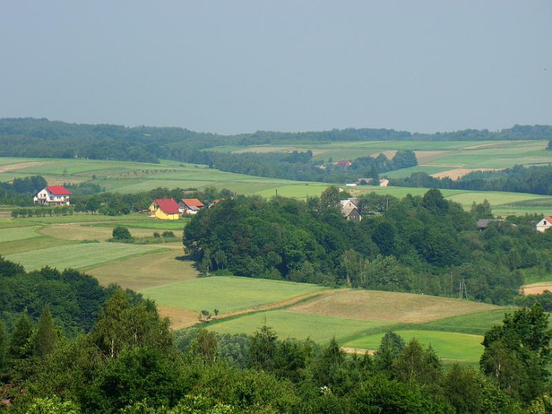 DSC03510