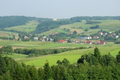 DSC03480