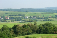 DSC03481