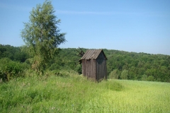 DSC03483