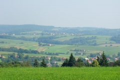 DSC03491