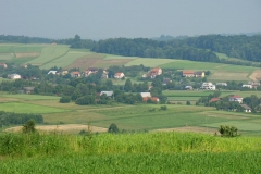 DSC03492