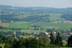 DSC03498