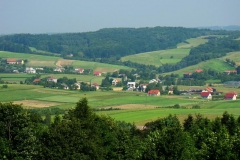 DSC03502