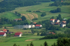 DSC03503
