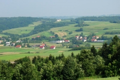 DSC03507