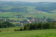 DSC03509