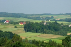 DSC03510