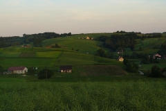 P1060368