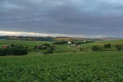 P1060436