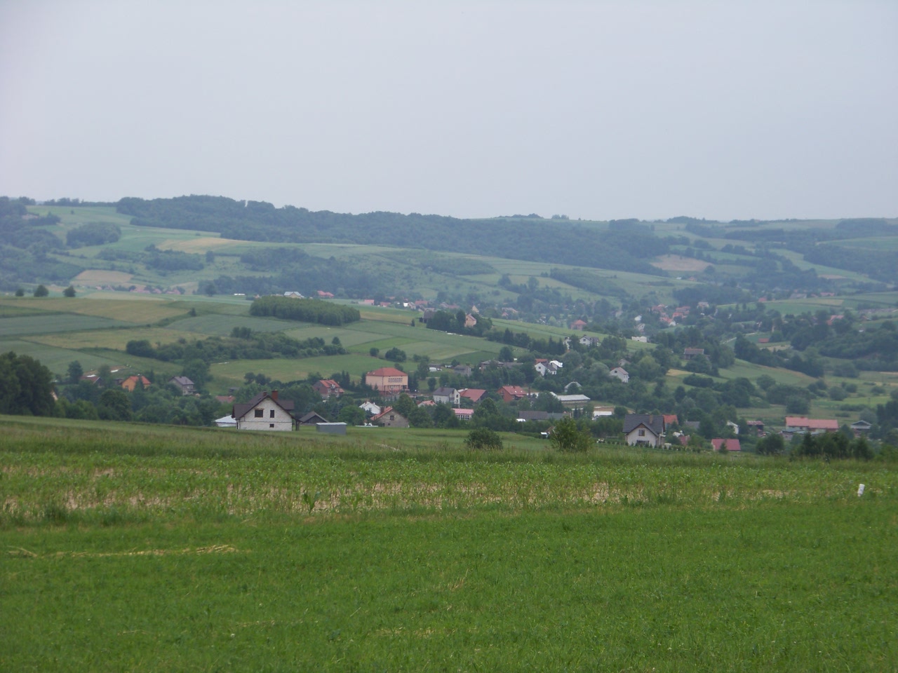 100_5287