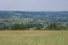 100_5245