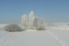 P1070490