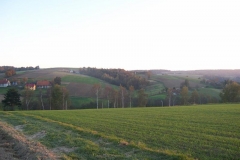 paĹşdziernik07 043