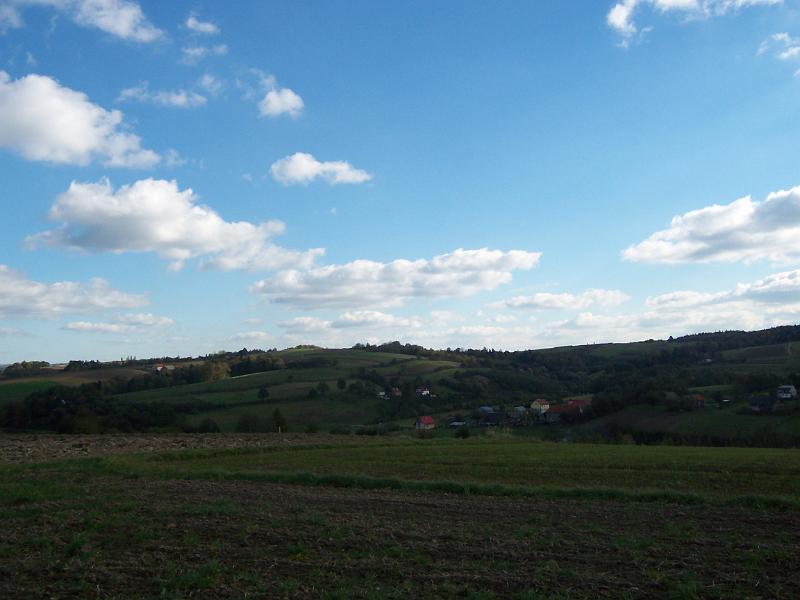 tynk+dzieĹ„ edu. 040