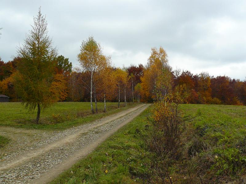 P1050916