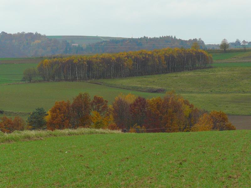 P1050920