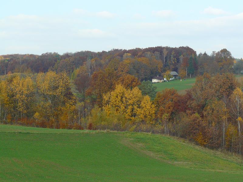 P1050924