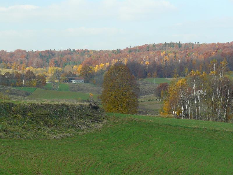 P1050925