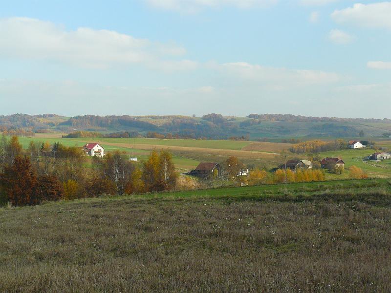P1050929