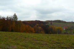 P1050909