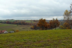 P1050913