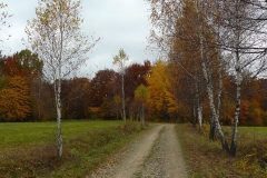 P1050915