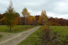 P1050916