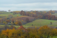 P1050917