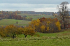 P1050918